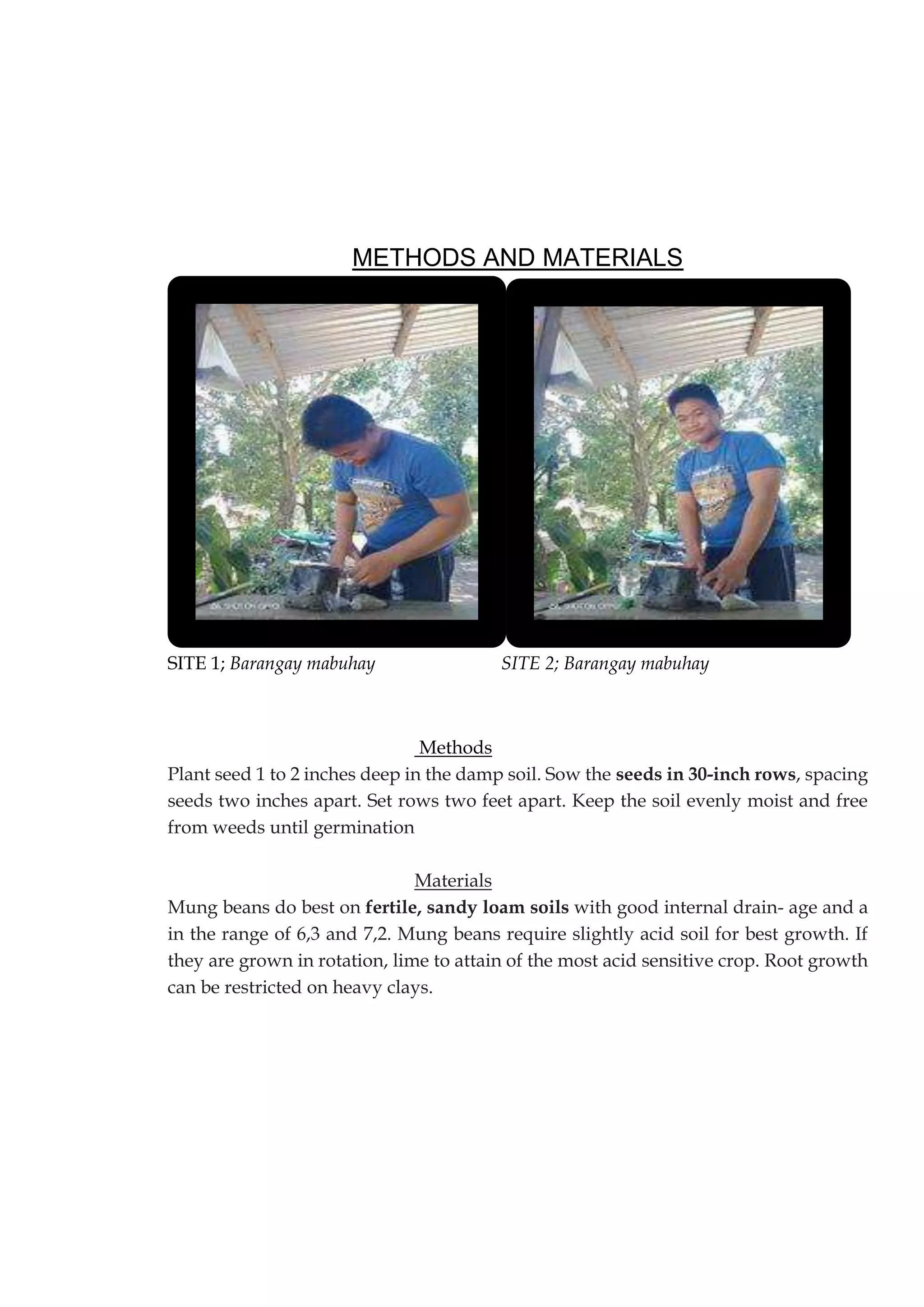 METHODS AND MATERIALS
SITE 1; Barangay mabuhay SITE 2; Barangay mabuhay
Methods
Plant seed 1 to 2 inches deep in the damp soil. Sow the seeds in 30-inch rows, spacing
seeds two inches apart. Set rows two feet apart. Keep the soil evenly moist and free
from weeds until germination
Materials
Mung beans do best on fertile, sandy loam soils with good internal drain- age and a
in the range of 6,3 and 7,2. Mung beans require slightly acid soil for best growth. If
they are grown in rotation, lime to attain of the most acid sensitive crop. Root growth
can be restricted on heavy clays.
 