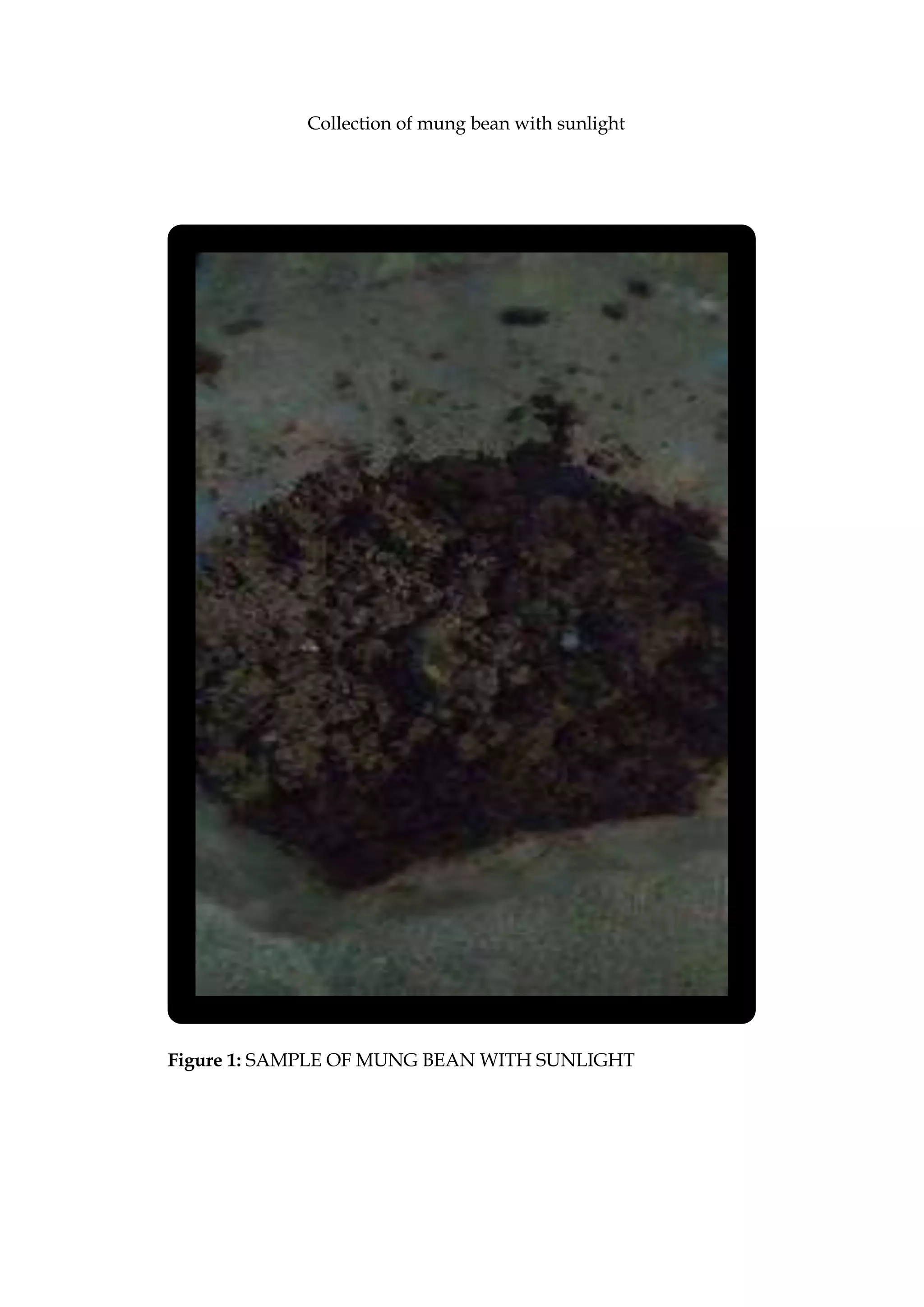 Collection of mung bean with sunlight
Figure 1: SAMPLE OF MUNG BEAN WITH SUNLIGHT
 