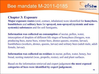 Franz Streissl - Bee risk assessment | PDF