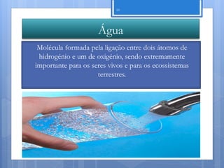 10




                     Água
 Molécula formada pela ligação entre dois átomos de
 hidrogénio e um de oxigénio, sendo extremamente
importante para os seres vivos e para os ecossistemas
                     terrestres.




                                                  Nuno Correia 11/12
 