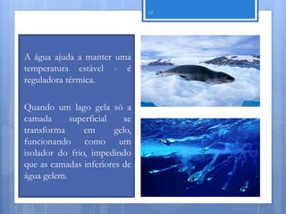 12




A água ajuda a manter uma
temperatura estável - é
reguladora térmica.

Quando um lago gela só a
camada      superficial    se
transforma      em      gelo,
funcionando como um
isolador do frio, impedindo
que as camadas inferiores de
água gelem.


                                     Nuno Correia 11/12
 