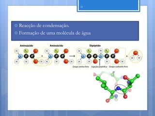 22




 Reacçãode condensação.
 Formação de uma molécula de água




                                     Nuno Correia 11/12
 