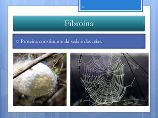 25




                          Fibroína
 Proteína   constituinte da seda e das teias.




                                                 Nuno Correia 11/12
 