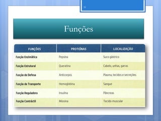 31




Funções




          Nuno Correia 11/12
 