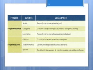 38




     Nuno Correia 11/12
 