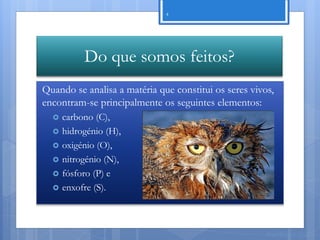 4




           Do que somos feitos?
Quando se analisa a matéria que constitui os seres vivos,
encontram-se principalmente os seguintes elementos:
     carbono (C),
     hidrogénio (H),
     oxigénio (O),
     nitrogénio (N),
     fósforo (P) e
     enxofre (S).



                                                       Nuno Correia 11/12
 