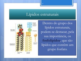 44




Lípidos estruturais
         Dentro do grupo dos
           lípidos estruturais,
        podem-se destacar, pela
          sua importância, os
         fosfolípidos, que são
        lípidos que contêm um
              grupo fosfato.

                         Nuno Correia 11/12
 