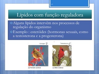 47




    Lípidos com função reguladora
 Alguns  lípidos intervêm nos processos de
  regulação do organismo
 Exemplo : esteróides (hormonas sexuais, como
  a testosterona e a progesterona)




                                           Nuno Correia 11/12
 