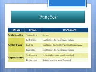 48




Funções




          Nuno Correia 11/12
 