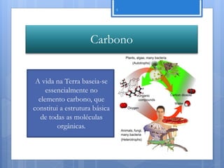 5




                    Carbono


 A vida na Terra baseia-se
     essencialmente no
  elemento carbono, que
constitui a estrutura básica
   de todas as moléculas
         orgânicas.



                                   Nuno Correia 11/12
 