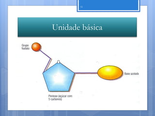 51




Unidade básica




                 Nuno Correia 11/12
 