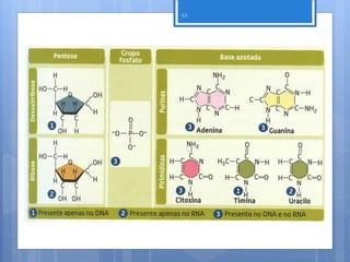 53




     Nuno Correia 11/12
 