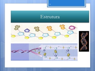 54




Estrutura




            Nuno Correia 11/12
 