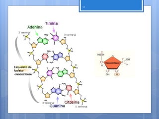 55




     Nuno Correia 11/12
 