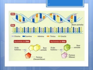 57




     Nuno Correia 11/12
 