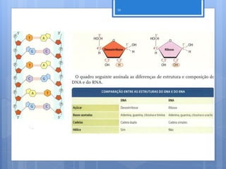 58




     Nuno Correia 11/12
 