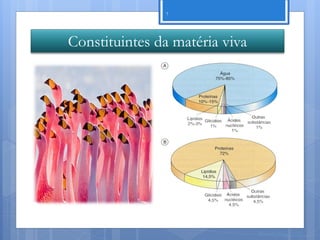 7




Constituintes da matéria viva




                                Nuno Correia 11/12
 