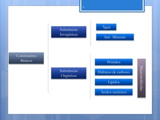 8




                                    Água
                Substâncias
                Inorgânicas
                                     Sais Minerais



Constituintes
  Básicos                              Prótidos




                                                               Macromoléculas
                Substâncias       Hidratos de carbono
                 Orgânicas
                                        Lípidos

                                   Ácidos nucleicos




                                                        Nuno Correia 11/12
 