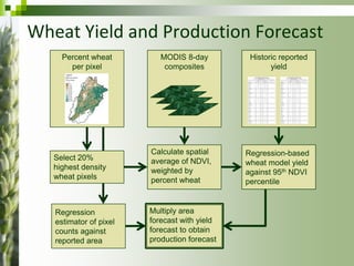Forecasting Wheat Yield and Production for Punjab Province, Pakistan ...