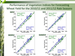 Forecasting Wheat Yield and Production for Punjab Province, Pakistan ...
