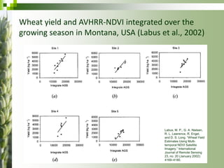 Forecasting Wheat Yield and Production for Punjab Province, Pakistan ...