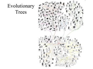 Evolutionary
   Trees
 