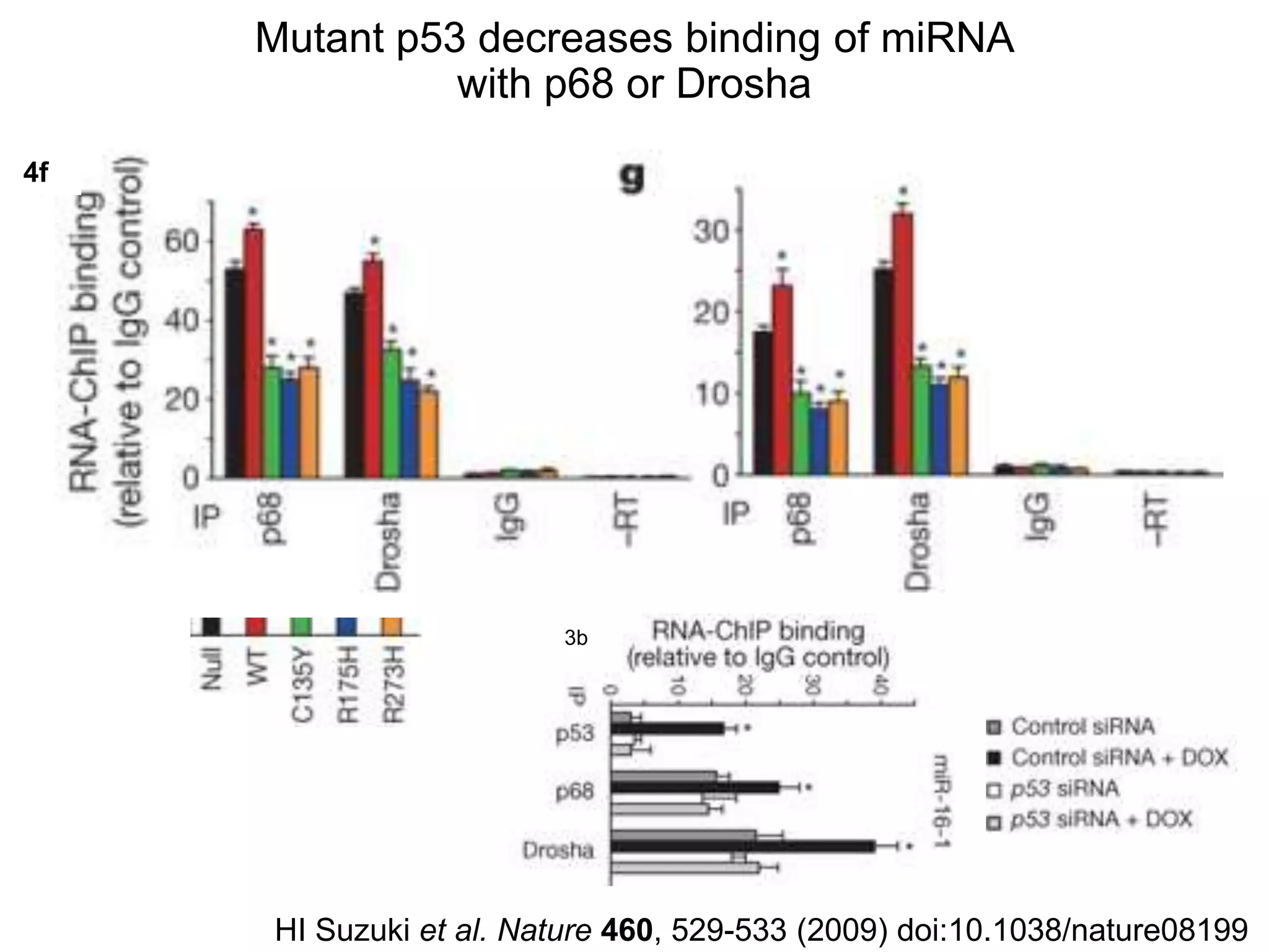 paper review of "modulation of microRNA processing by p53" | PPTX