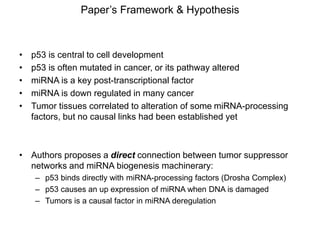 paper review of "modulation of microRNA processing by p53" | PPTX