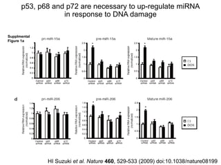 paper review of "modulation of microRNA processing by p53" | PPTX