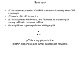 paper review of "modulation of microRNA processing by p53" | PPTX