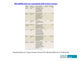 paper review of "modulation of microRNA processing by p53" | PPTX
