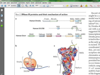 paper review of "modulation of microRNA processing by p53" | PPTX