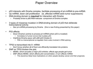 paper review of "modulation of microRNA processing by p53" | PPTX