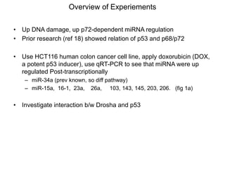 paper review of "modulation of microRNA processing by p53" | PPTX