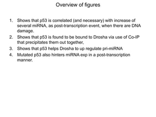 paper review of "modulation of microRNA processing by p53" | PPTX