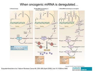 paper review of "modulation of microRNA processing by p53" | PPTX