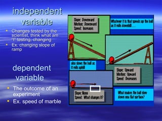 independent
     variable
 Changes tested by the
  scientist, think what am
  “I” testing, changing
 Ex. changing slope of
  ramp



   dependent
    variable
 The outcome of an
  experiment
 Ex. speed of marble
 