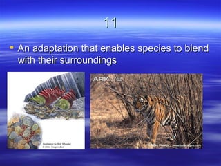 11
 An adaptation that enables species to blend
  with their surroundings
 