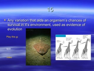 15
 Any variation that aids an organism’s chances of
  survival in it’s environment, used as evidence of
  evolution
 Play this game




 quiz


 video
 
