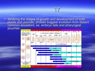 17
 Studying the stages of growth and development of both
  plants and animals, phases suggest evolution from distant
  common ancestors, ex. embryo tails and pharyngeal
  pouches
 