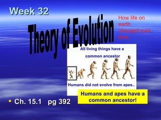 Week 32
                                          How life on
                                          earth
                                          changed over
                                          time

                      All living things have a
                        common ancestor




                Humans did not evolve from apes..

                      Humans and apes have a
 Ch. 15.1 pg 392       common ancestor!
 