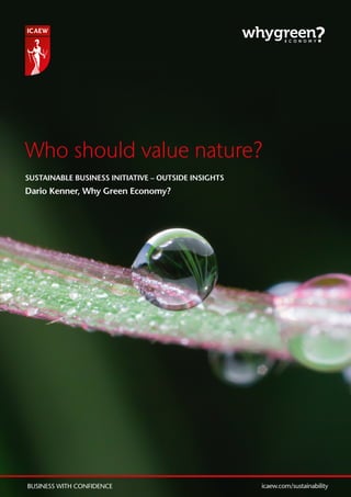 Who should value nature?
SUSTAINABLE BUSINESS INITIATIVE – OUTSIDE INSIGHTS
Dario Kenner, Why Green Economy?
icaew.com/sustainabilityBUSINESS WITH CONFIDENCE
 