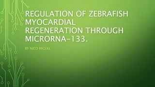 REGULATION OF ZEBRAFISH
MYOCARDIAL
REGENERATION THROUGH
MICRORNA-133.
BY NICO MIGUEL
 