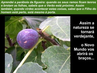Assim a natureza se tornará verdejante,  o Novo Mundo vos abrirá os  braços... Aprendei a parábola da figueira: quando os seus ramos ficam tenros e brotam as folhas, sabeis que o Verão está próximo. Assim também, quando virdes acontecer estas coisas, sabei que o Filho do homem está perto, está mesmo à porta. 
