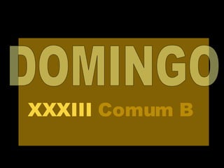 DOMINGO XXXIII  Comum   B 