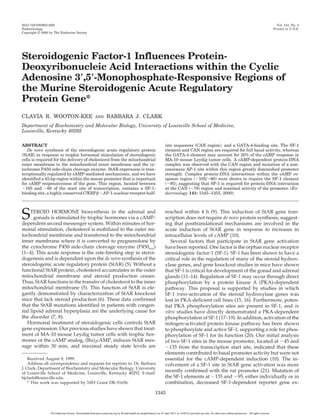 Steroidogenic Factor-1 Influences Protein-
Deoxyribonucleic Acid Interactions within the Cyclic
Adenosine 3؅,5؅-Monophosphate-Responsive Regions of
the Murine Steroidogenic Acute Regulatory
Protein Gene*
CLAVIA R. WOOTON-KEE AND BARBARA J. CLARK
Department of Biochemistry and Molecular Biology, University of Louisville School of Medicine,
Louisville, Kentucky 40292
ABSTRACT
De novo synthesis of the steroidogenic acute regulatory protein
(StAR) in response to trophic hormonal stimulation of steroidogenic
cells is required for the delivery of cholesterol from the mitochondrial
outer membrane to the mitochondrial inner membrane and the cy-
tochrome P450 side-chain cleavage enzyme. StAR expression is tran-
scriptionally regulated by cAMP-mediated mechanisms, and we have
identified a 45-bp region within the mouse promoter that is important
for cAMP responsiveness of the gene. This region, located between
Ϫ105 and Ϫ60 of the start site of transcription, contains a SF-1-
binding site, a highly conserved C/EBP␤ ϪAP-1-nuclear receptor half-
site sequences (CAN region), and a GATA-4-binding site. The SF-1
element and CAN region are required for full basal activity, whereas
the GATA-4 element may account for 20% of the cAMP response in
MA-10 mouse Leydig tumor cells. A cAMP-dependent protein-DNA
complex was observed with the CAN region and mutation of a non-
consensus AP-1 site within this region greatly diminished promoter
strength. Complex protein-DNA interactions within the cAMP re-
sponse region (Ϫ105/Ϫ60) were shown to require the SF-1 element
(Ϫ95), suggesting that SF-1 is required for protein-DNA interaction
at the CAN (Ϫ79) region and maximal activity of the promoter. (En-
docrinology 141: 1345–1355, 2000)
STEROID HORMONE biosynthesis in the adrenal and
gonads is stimulated by trophic hormones via a cAMP-
dependent second messenger system. Within minutes of hor-
monal stimulation, cholesterol is mobilized to the outer mi-
tochondrial membrane and transferred to the mitochondrial
inner membrane where it is converted to pregnenolone by
the cytochrome P450 side-chain cleavage enzyme (P450scc)
(1–4). This acute response is the rate-limiting step in steroi-
dogenesis and is dependent upon the de novo synthesis of the
steroidogenic acute regulatory protein (StAR) (5). Without a
functional StAR protein, cholesterol accumulates in the outer
mitochondrial membrane and steroid production ceases.
Thus, StAR functions in the transfer of cholesterol to the inner
mitochondrial membrane (5). This function of StAR is ele-
gantly demonstrated by characterization of StAR knockout
mice that lack steroid production (6). These data confirmed
that the StAR mutations identified in patients with congen-
ital lipoid adrenal hyperplasia are the underlying cause for
the disorder (7, 8).
Hormonal treatment of steroidogenic cells controls StAR
gene expression. Our previous studies have shown that treat-
ment of MA-10 mouse Leydig tumor cells with trophic hor-
mones or the cAMP analog, (Bu)2cAMP, induces StAR mes-
sage within 30 min, and maximal steady state levels are
reached within 4 h (9). This induction of StAR gene tran-
scription does not require de novo protein synthesis, suggest-
ing that posttranslational mechanisms are involved in the
acute induction of StAR gene in response to increases in
intracellular levels of cAMP (10).
Several factors that participate in StAR gene activation
have been reported. One factor is the orphan nuclear receptor
steroidogenic factor-1 (SF-1). SF-1 has been shown to have a
critical role in the regulation of many of the steroid hydrox-
ylase genes, and gene knockout studies in mice have shown
that SF-1 is critical for development of the gonad and adrenal
glands (11–14). Regulation of SF-1 may occur through direct
phosphorylation by a protein kinase A (PKA)-dependent
pathway. This proposal is supported by studies in which
SF-1 trans-activation of the steroid hydroxylase genes was
lost in PKA-deficient cell lines (15, 16). Furthermore, poten-
tial PKA phosphorylation sites are present in SF-1, and in
vitro studies have directly demonstrated a PKA-dependent
phosphorylation of SF-1 (17–19). In addition, activation of the
mitogen-activated protein kinase pathway has been shown
to phosphorylate and active SF-1, supporting a role for phos-
phorylation of SF-1 for its function (20). Our initial analysis
of two SF-1 sites in the mouse promoter, located at Ϫ45 and
Ϫ135 from the transcription start site, indicated that these
elements contributed to basal promoter activity but were not
essential for the cAMP-dependent induction (10). The in-
volvement of a SF-1 site in StAR gene activation was more
recently confirmed with the rat promoter (21). Mutation of
the SF-1 elements at Ϫ135 and Ϫ95, either individually or in
combination, decreased SF-1-dependent reporter gene ex-
Received August 9, 1999.
Address all correspondence and requests for reprints to: Dr. Barbara
J. Clark, Department of Biochemistry and Molecular Biology, University
of Louisville School of Medicine, Louisville, Kentucky 40292. E-mail:
bjclark@louisville.edu.
* This work was supported by NIH Grant DK-51656.
0013-7227/00/$03.00/0 Vol. 141, No. 4
Endocrinology Printed in U.S.A.
Copyright © 2000 by The Endocrine Society
1345
The Endocrine Society. Downloaded from press.endocrine.org by [${individualUser.displayName}] on 24 April 2015. at 10:09 For personal use only. No other uses without permission. . All rights reserved.
 