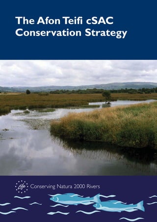 The Afon Teifi cSAC
Conservation Strategy
Conserving Natura 2000 Rivers
 
