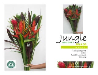 J g
Jungle
BOUQUET
            BQ # 36
            by   M A G I
C
        6 bouquedt per HB 
                    carton.
      Available year round.
                 80cm long




    www.magic-flowers.com
 