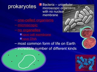 Bacteria – unicellular
prokaryotes        microscopic organisms
                   with no nuclear
                   membrane
  – one-celled organisms
  – microscopic
  – no organelles
      have cell membrane
      have DNA
  – most common form of life on Earth
  – incredible number of different kinds
 