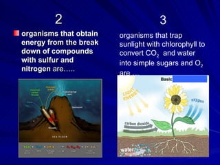 2                           3
organisms that obtain   organisms that trap
energy from the break   sunlight with chlorophyll to
down of compounds       convert CO2 and water
with sulfur and         into simple sugars and O2
nitrogen are…..
                        are …
 